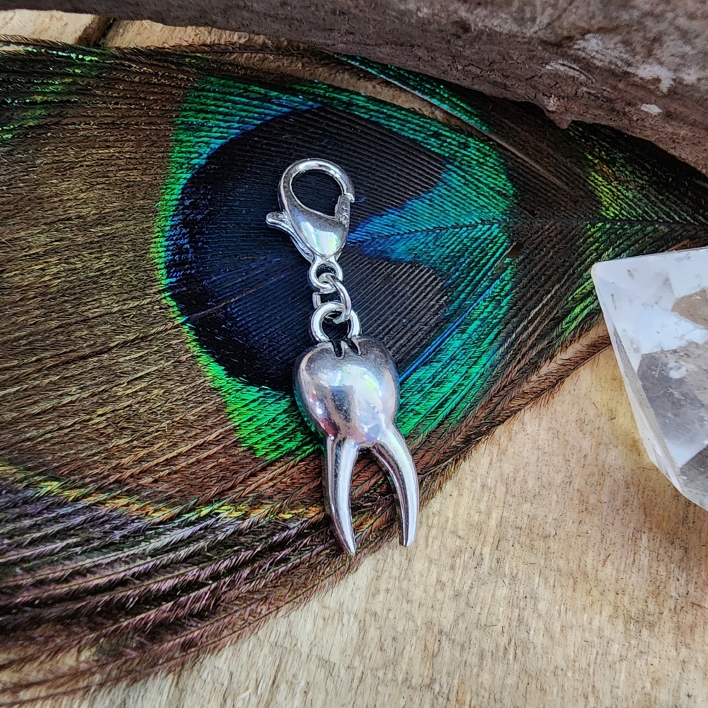 5/$25 Dentist Charm Tooth clipon Charm Teeth Charm for Bracelet Necklace Purse